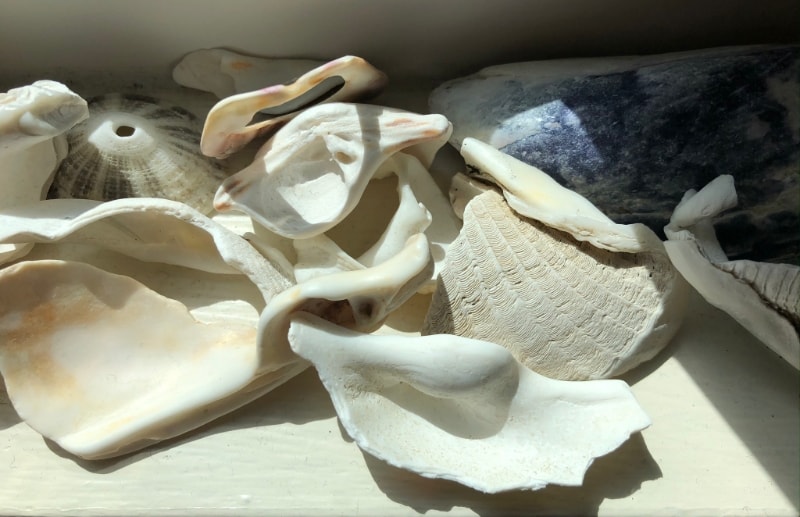 Turn of the Year
