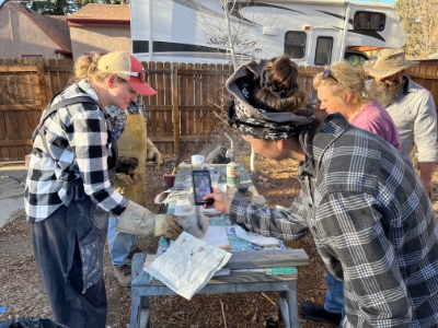 Group applying horse hair