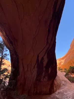 Navajo Arch
