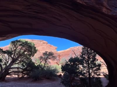 Navajo Arch