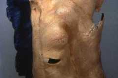 Figure_VII
