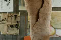 Spiral_figures